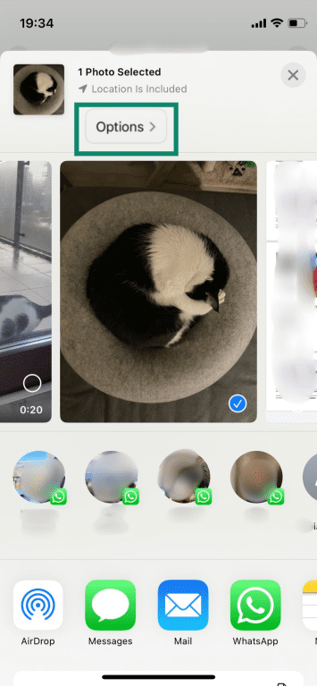 The Options button when sharing a photo on iPhone.