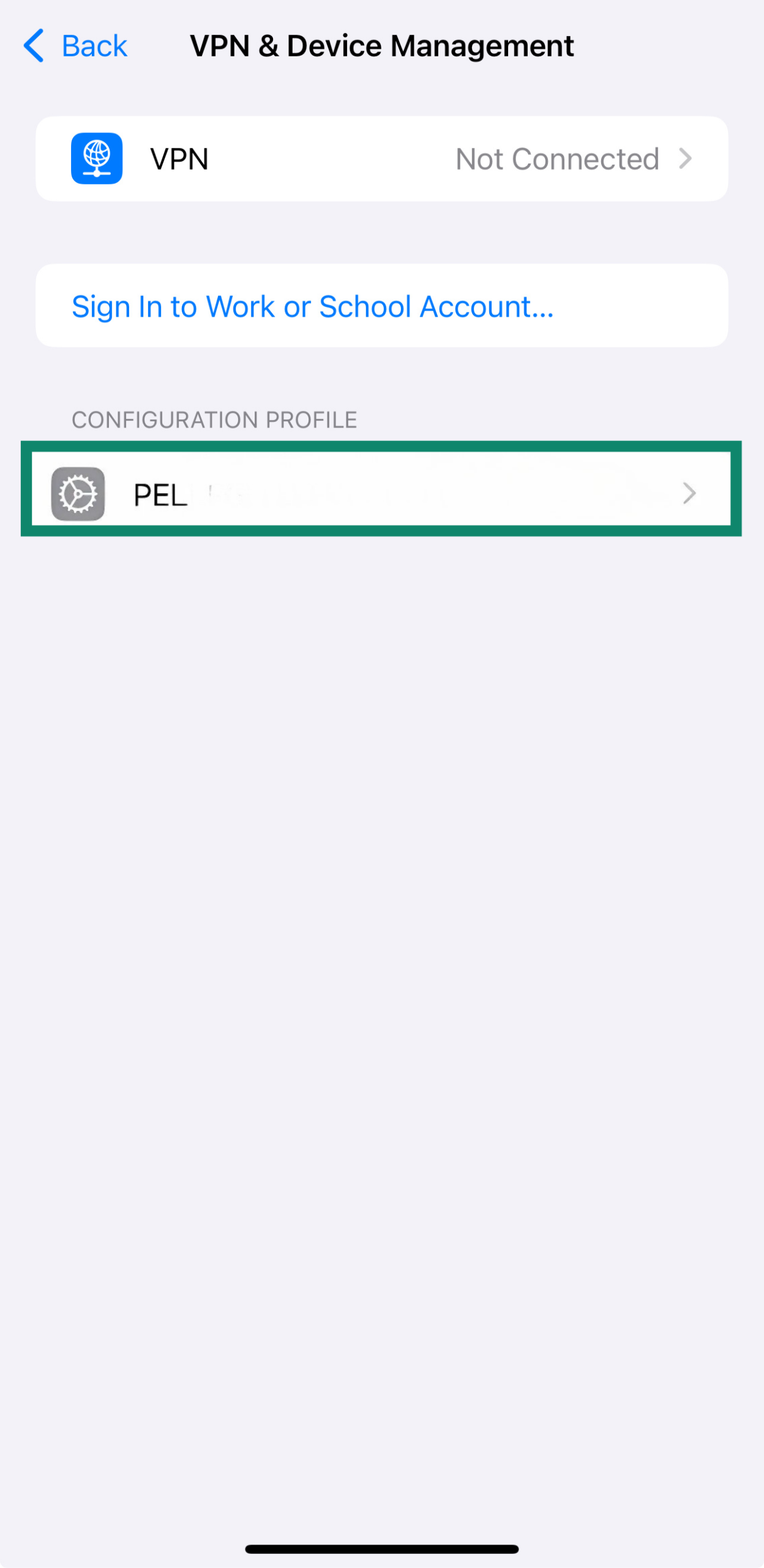 An iPhone's list of profiles with restrictions.