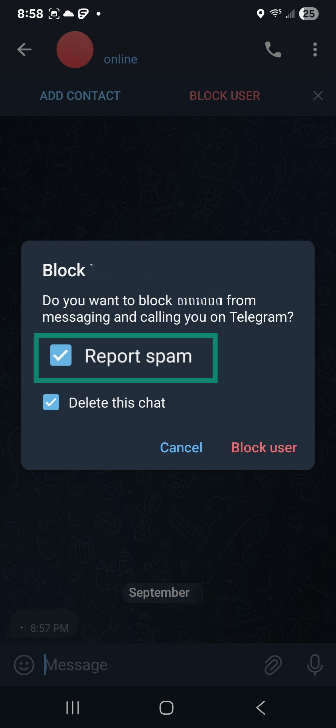 Telegram screen showing Report spam option.