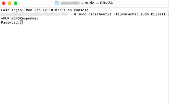 macOS Terminal windows showing how to flush cache with the command sudo dscacheutil -flushcache; sudo killall -HUP mDNSResponder