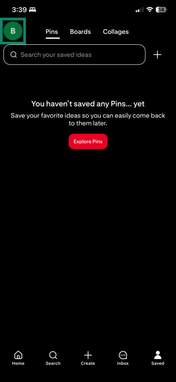 iOS Pinterest profile page with the user profile highlighted.