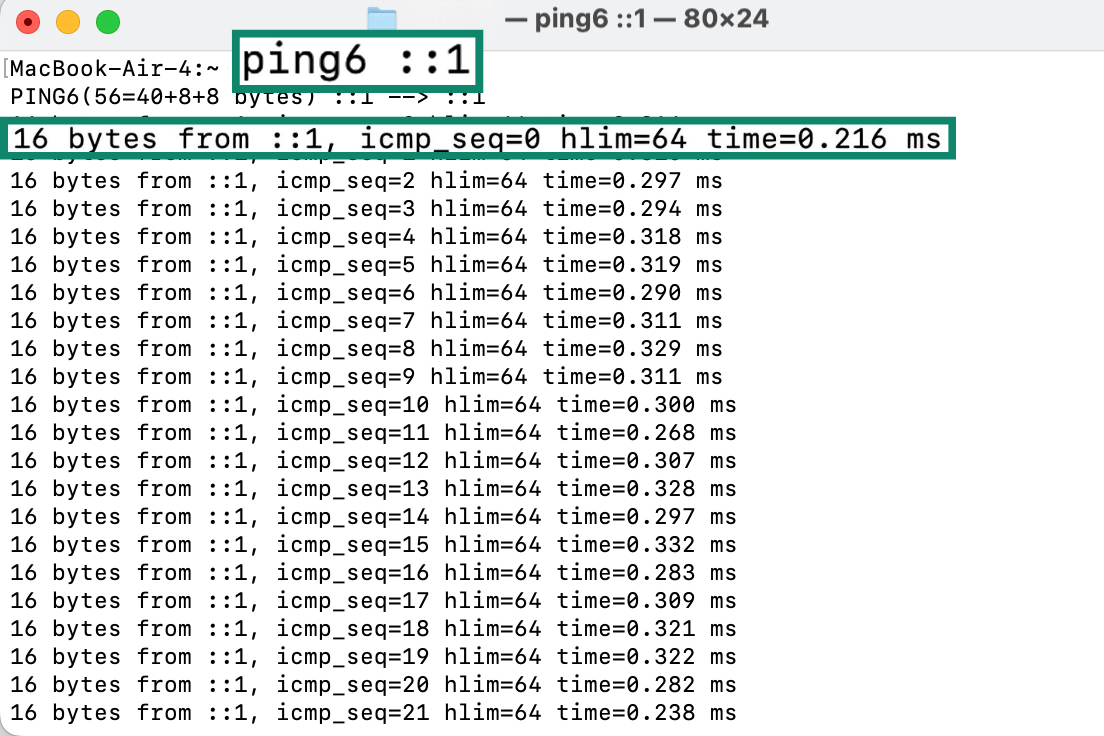 macOS Terminal interface, showing how to ping your IPv6 loopback address.