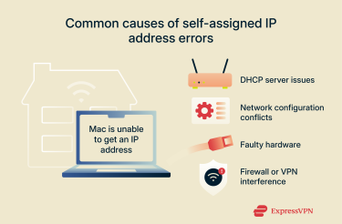 Main factors that lead to a self-assigned IP address on Mac