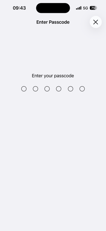 The passcode page on iOS.