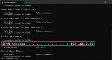 Windows Terminal screen with IPv4 field highlighted.