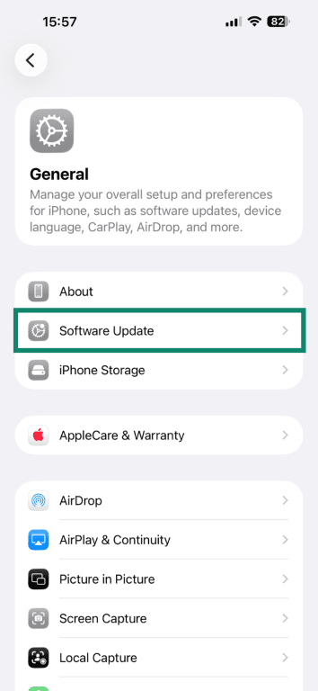 Accessing the Software Update option in iOS Settings.