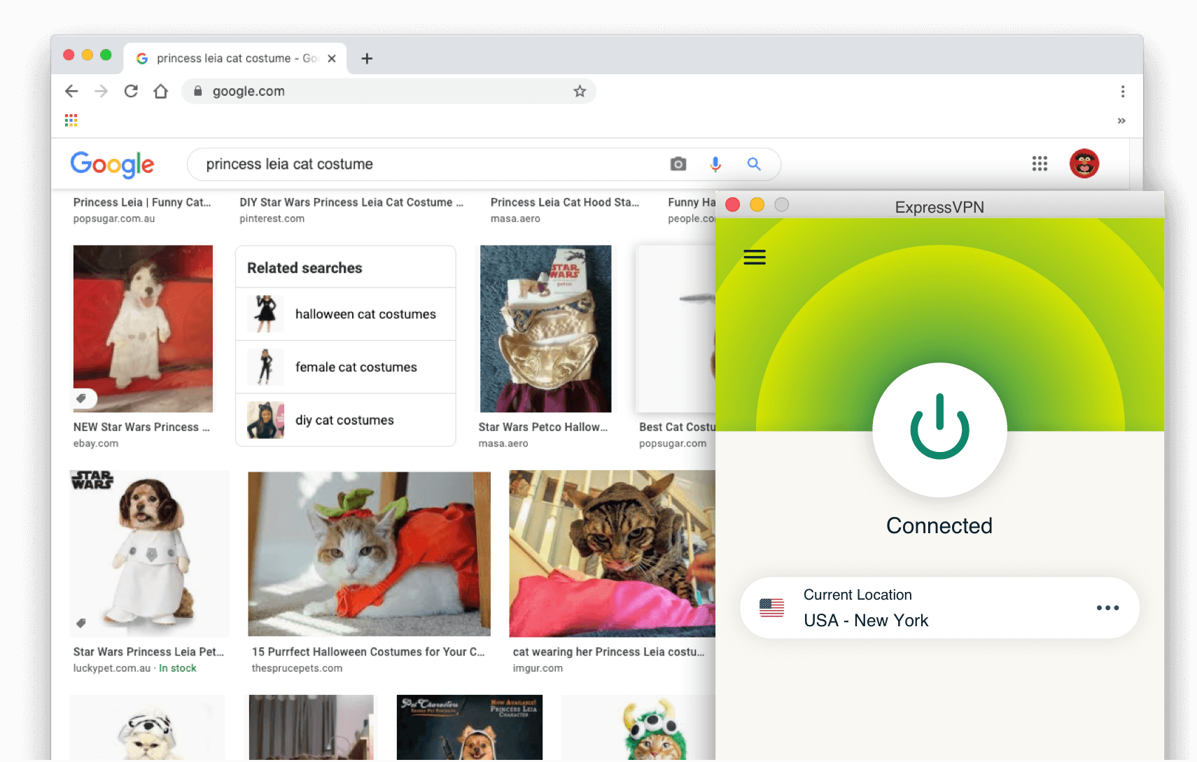 구글 검색결과: ExpressVPN이 켜진 레이아 공주 고양이 코스튬.