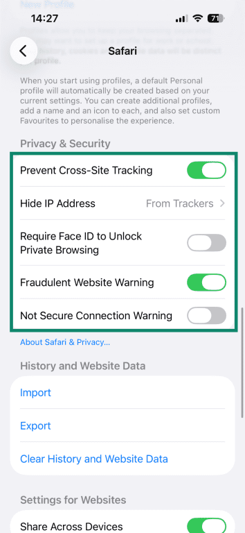 Safari's Privacy& Security settings on iOS.