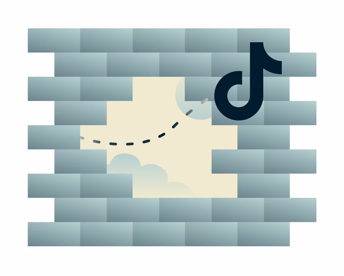 TikTok deblokkeren met een VPN