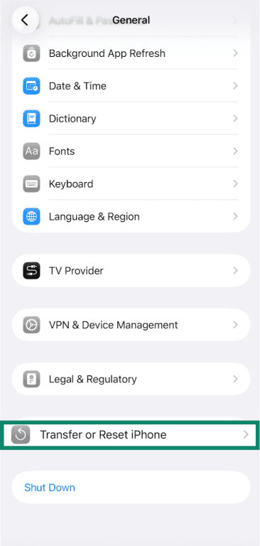 iPhone General settings with Transfer or Reset iPhone highlighted.