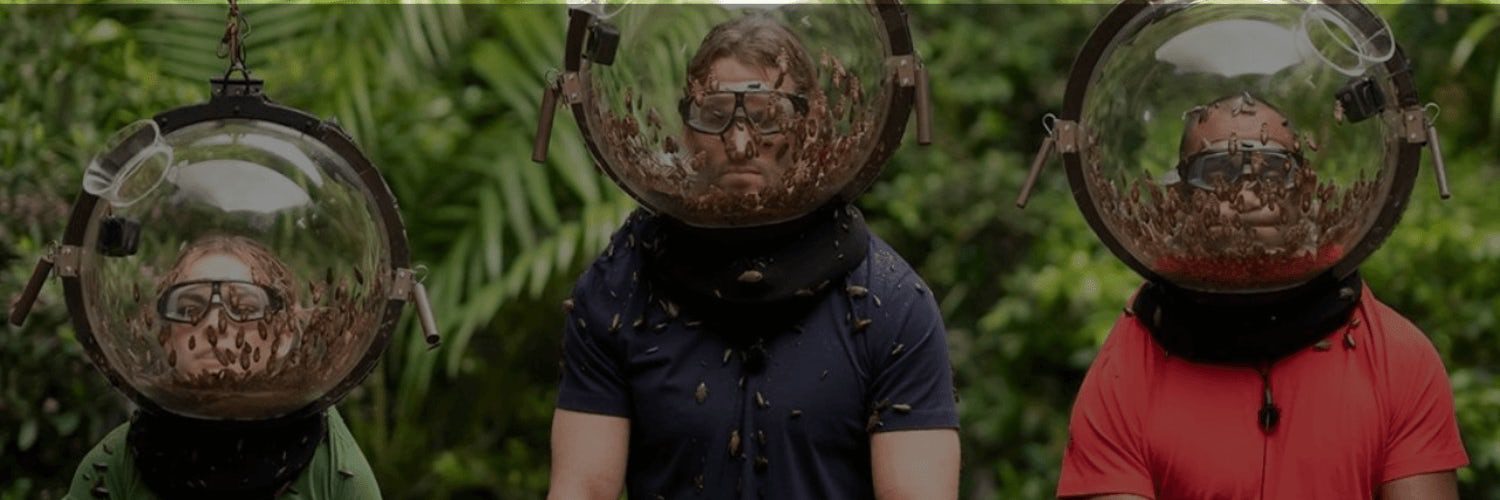 Wo Sie das Dschungelcamp online streamen können