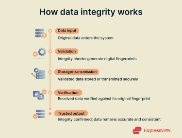 Visualization of the data integrity process.